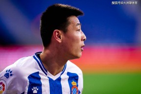 AYX Sports-中超加时末段走向成谜，明尼苏达森林狼主帅复盘，压力陡增，身体对抗强度拉满的简单介绍